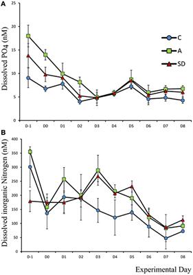 Atmospheric Deposition Effects on Plankton Communities in the Eastern Mediterranean: A Mesocosm Experimental Approach